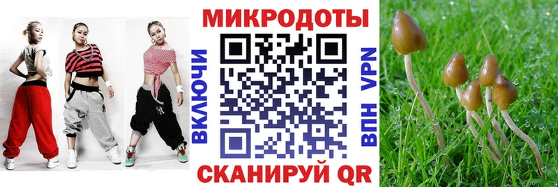 mega ссылки  Новосиль  Галлюциногенные грибы ЛСД 